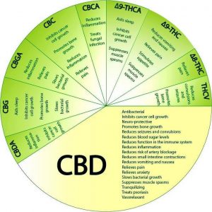 cannabinoid profile cbd