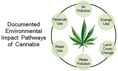 environment and cannabis